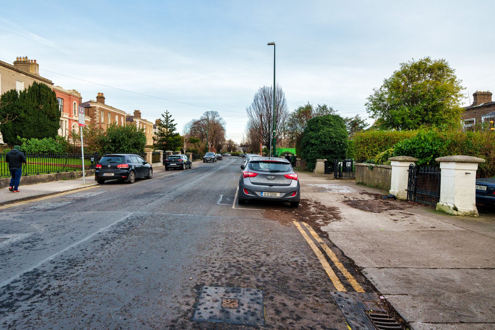 EXPLORING LEINSTER ROAD [THERE WAS EVEN A CHERRY BLOSSOM IN FLOWER]-227235-1