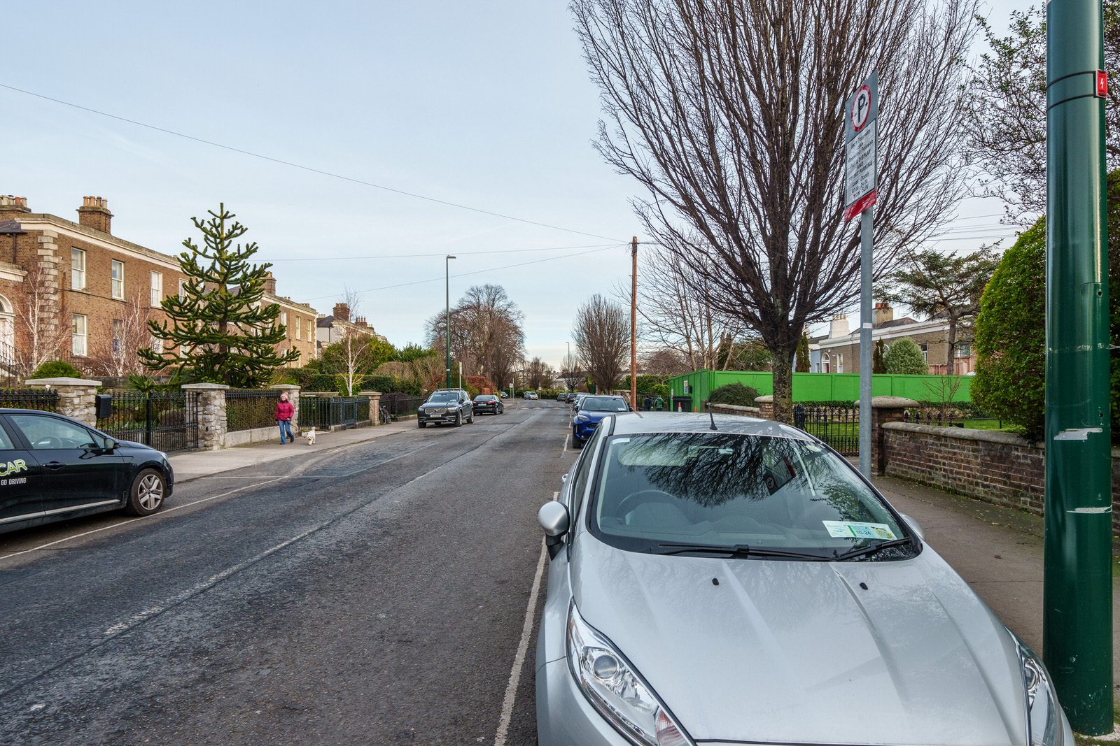 EXPLORING LEINSTER ROAD [THERE WAS EVEN A CHERRY BLOSSOM IN FLOWER]-227237-1