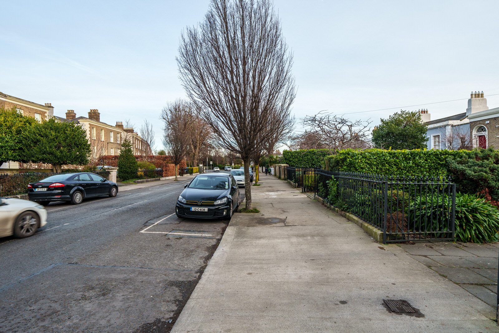 EXPLORING LEINSTER ROAD [THERE WAS EVEN A CHERRY BLOSSOM IN FLOWER]-227238-1