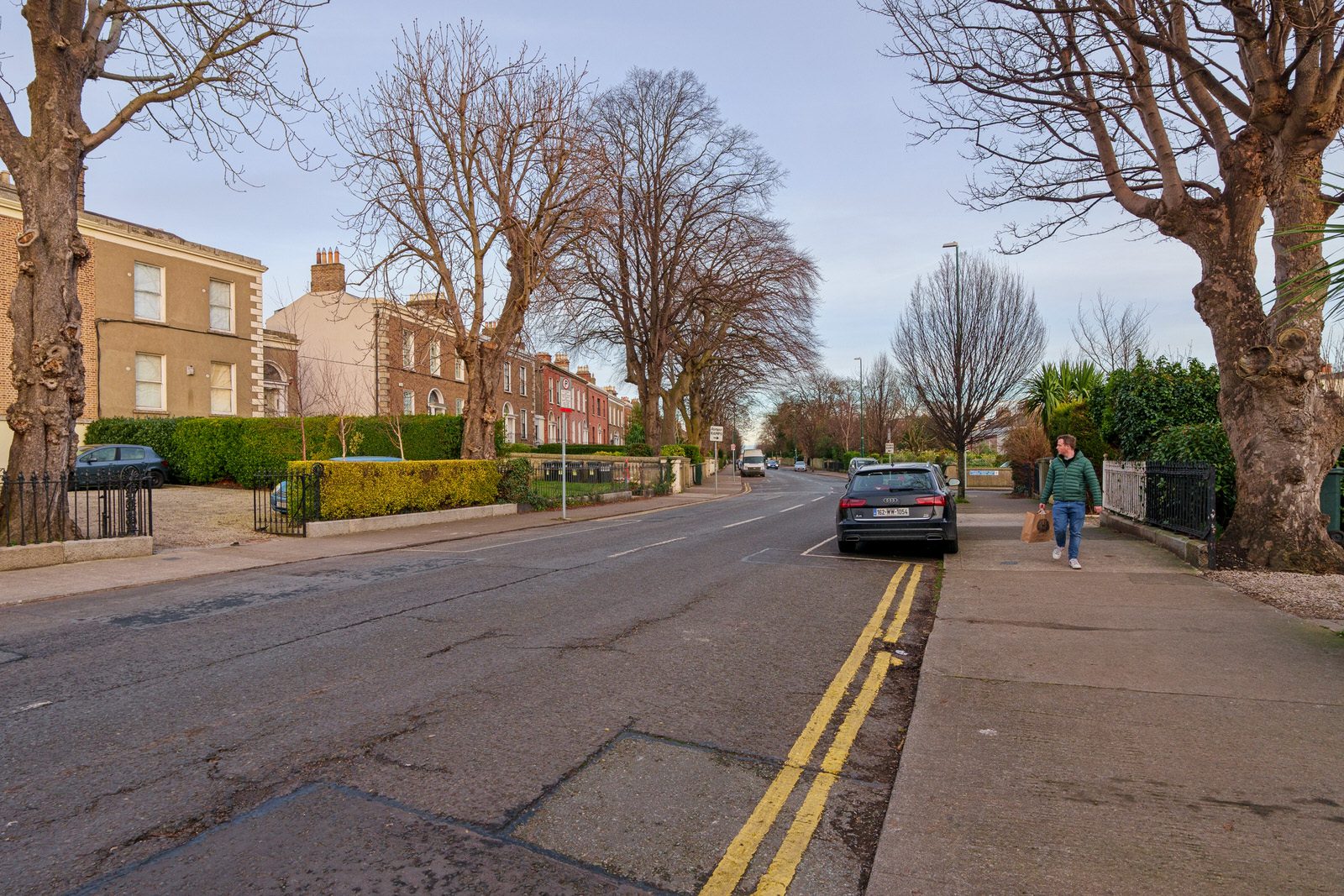 EXPLORING LEINSTER ROAD [THERE WAS EVEN A CHERRY BLOSSOM IN FLOWER]-227239-1