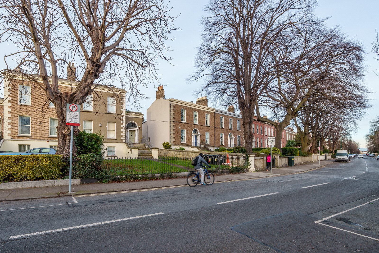 EXPLORING LEINSTER ROAD [THERE WAS EVEN A CHERRY BLOSSOM IN FLOWER]-227240-1