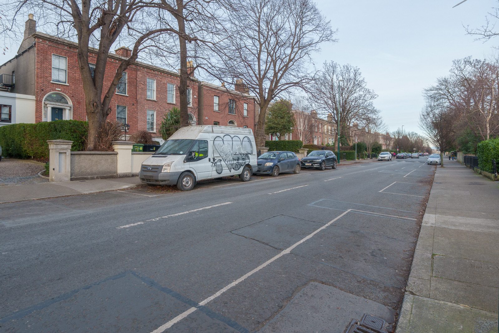 EXPLORING LEINSTER ROAD [THERE WAS EVEN A CHERRY BLOSSOM IN FLOWER]-227245-1