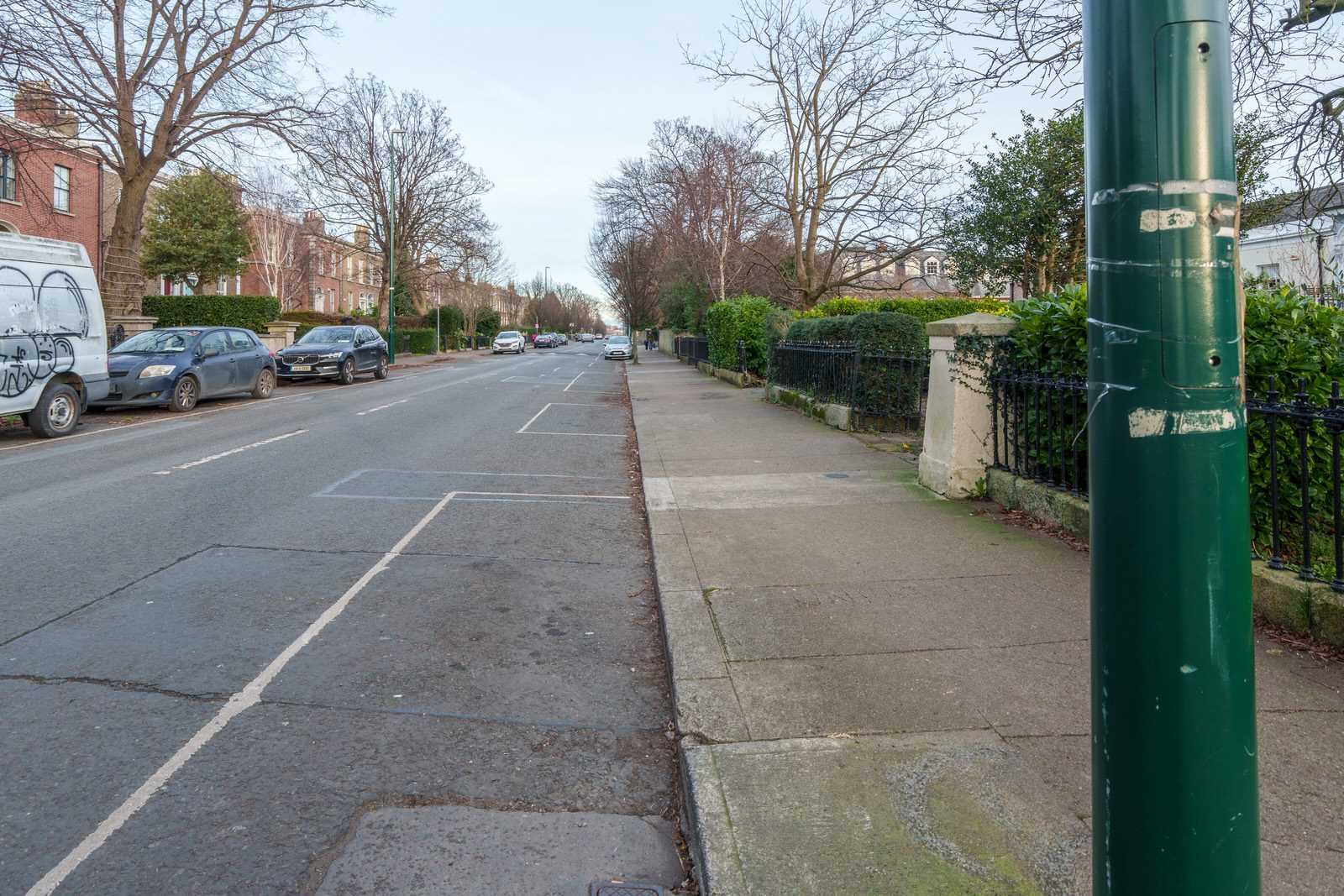 EXPLORING LEINSTER ROAD [THERE WAS EVEN A CHERRY BLOSSOM IN FLOWER]-227246-1