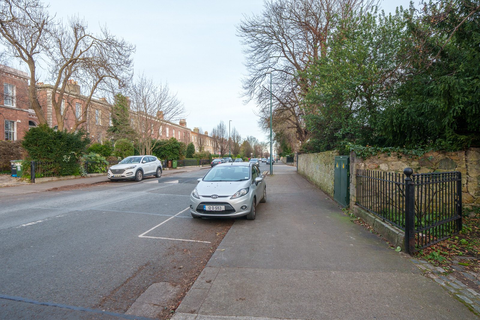 EXPLORING LEINSTER ROAD [THERE WAS EVEN A CHERRY BLOSSOM IN FLOWER]-227247-1