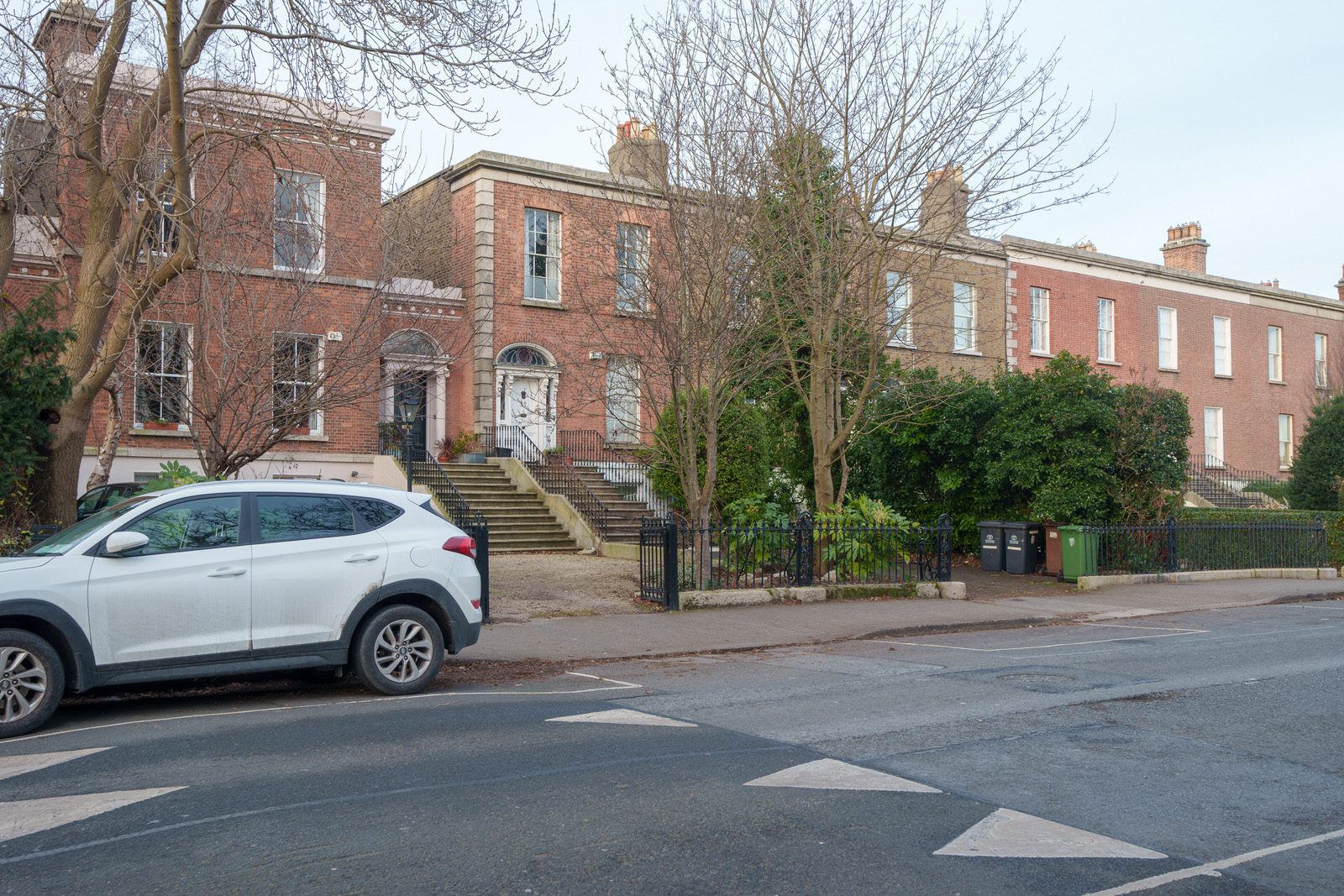 EXPLORING LEINSTER ROAD [THERE WAS EVEN A CHERRY BLOSSOM IN FLOWER]-227248-1