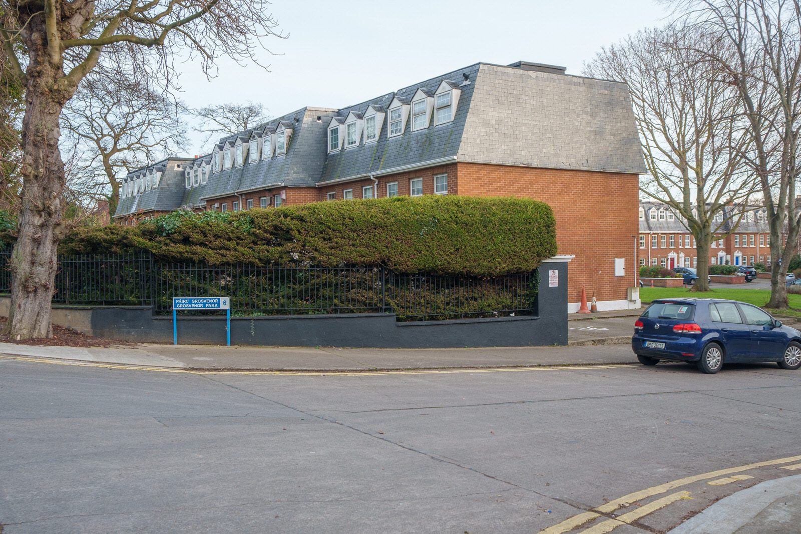 EXPLORING LEINSTER ROAD [THERE WAS EVEN A CHERRY BLOSSOM IN FLOWER]-227249-1