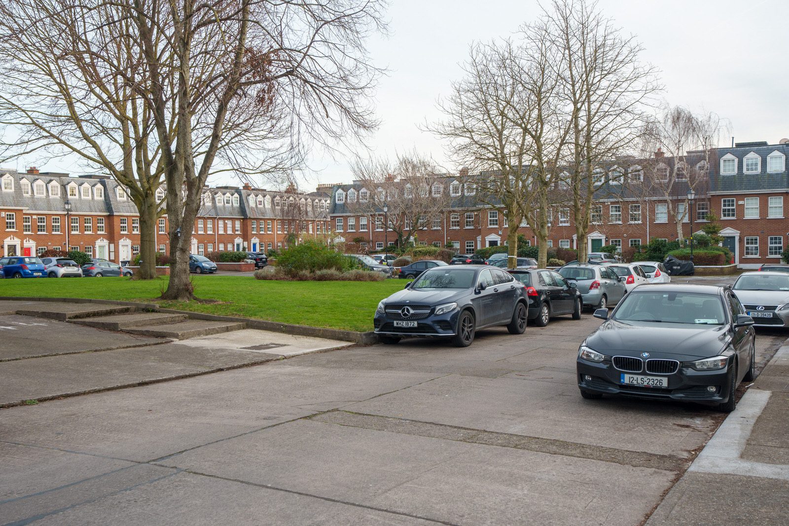 EXPLORING LEINSTER ROAD [THERE WAS EVEN A CHERRY BLOSSOM IN FLOWER]-227250-1