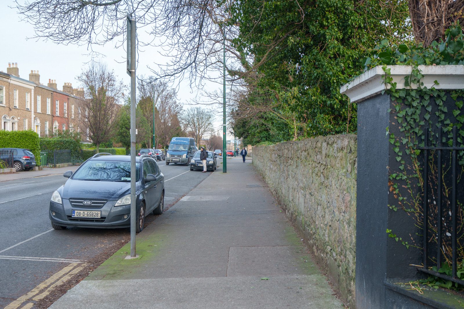 EXPLORING LEINSTER ROAD [THERE WAS EVEN A CHERRY BLOSSOM IN FLOWER]-227251-1