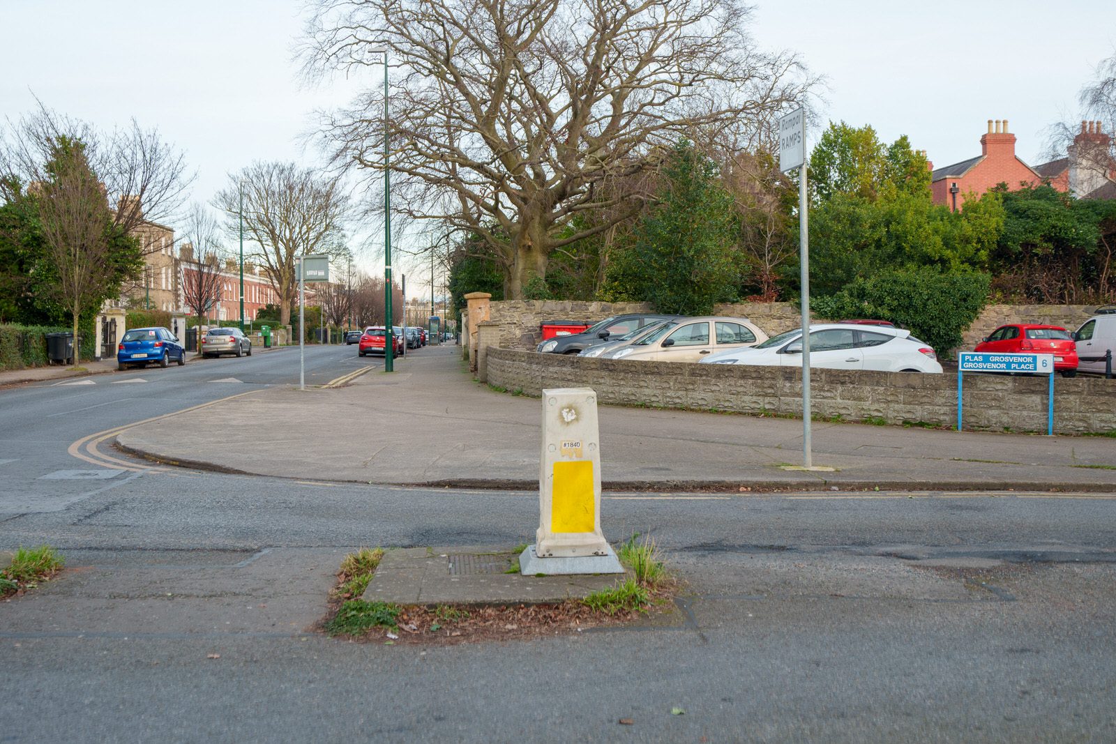 EXPLORING LEINSTER ROAD [THERE WAS EVEN A CHERRY BLOSSOM IN FLOWER]-227253-1