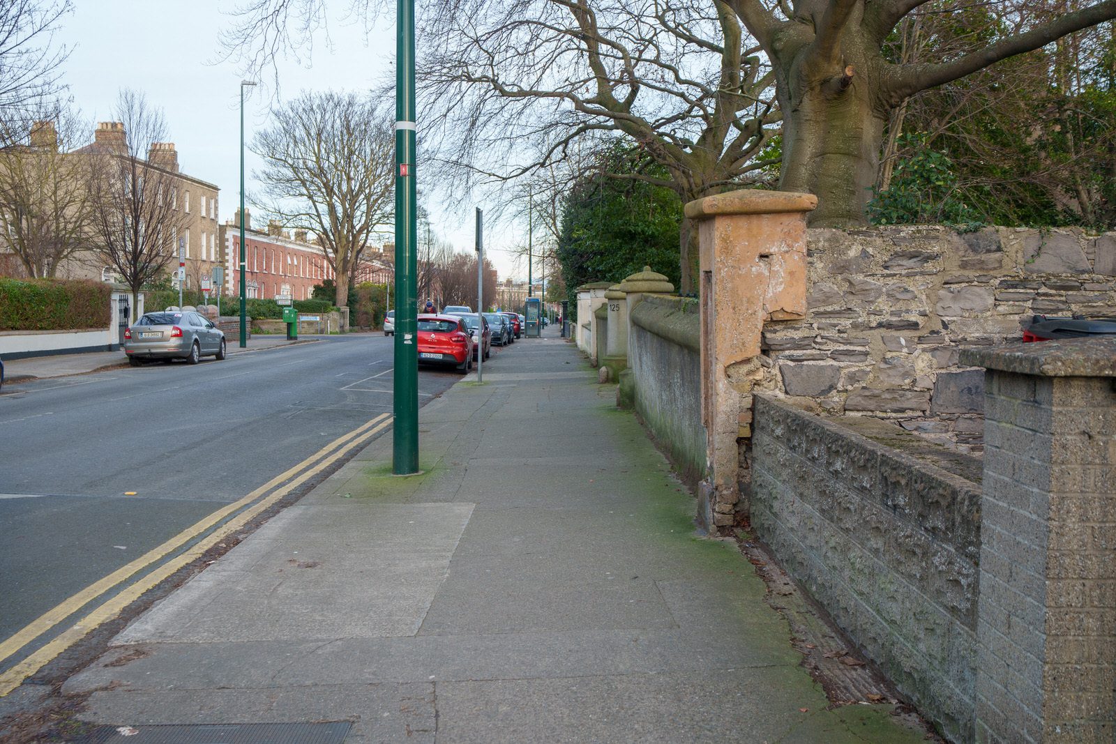 EXPLORING LEINSTER ROAD [THERE WAS EVEN A CHERRY BLOSSOM IN FLOWER]-227254-1