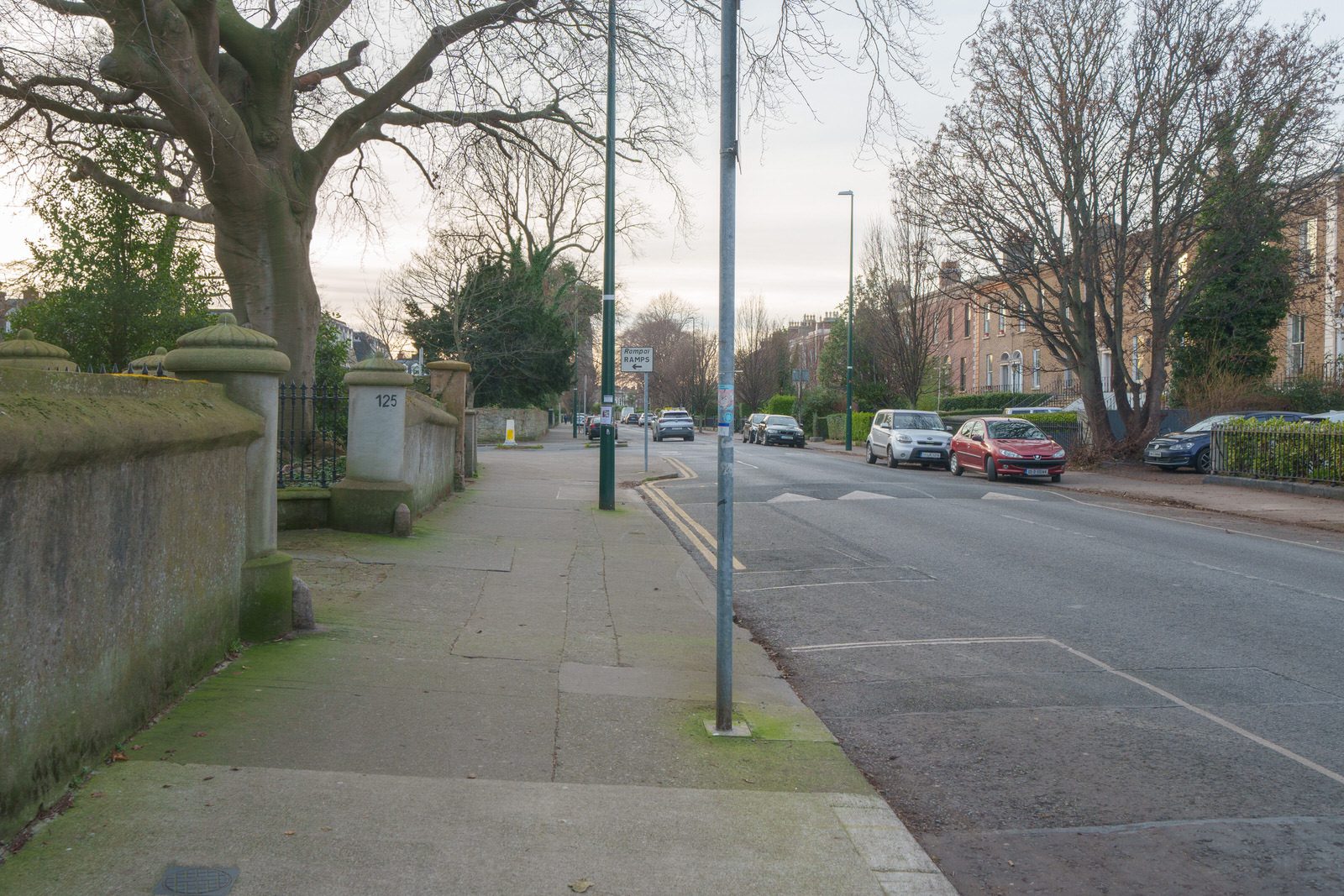 EXPLORING LEINSTER ROAD [THERE WAS EVEN A CHERRY BLOSSOM IN FLOWER]-227258-1