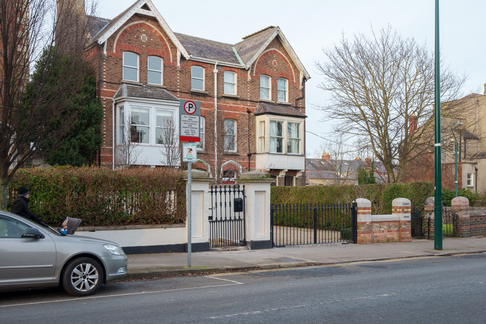 EXPLORING LEINSTER ROAD [THERE WAS EVEN A CHERRY BLOSSOM IN FLOWER]-227259-1