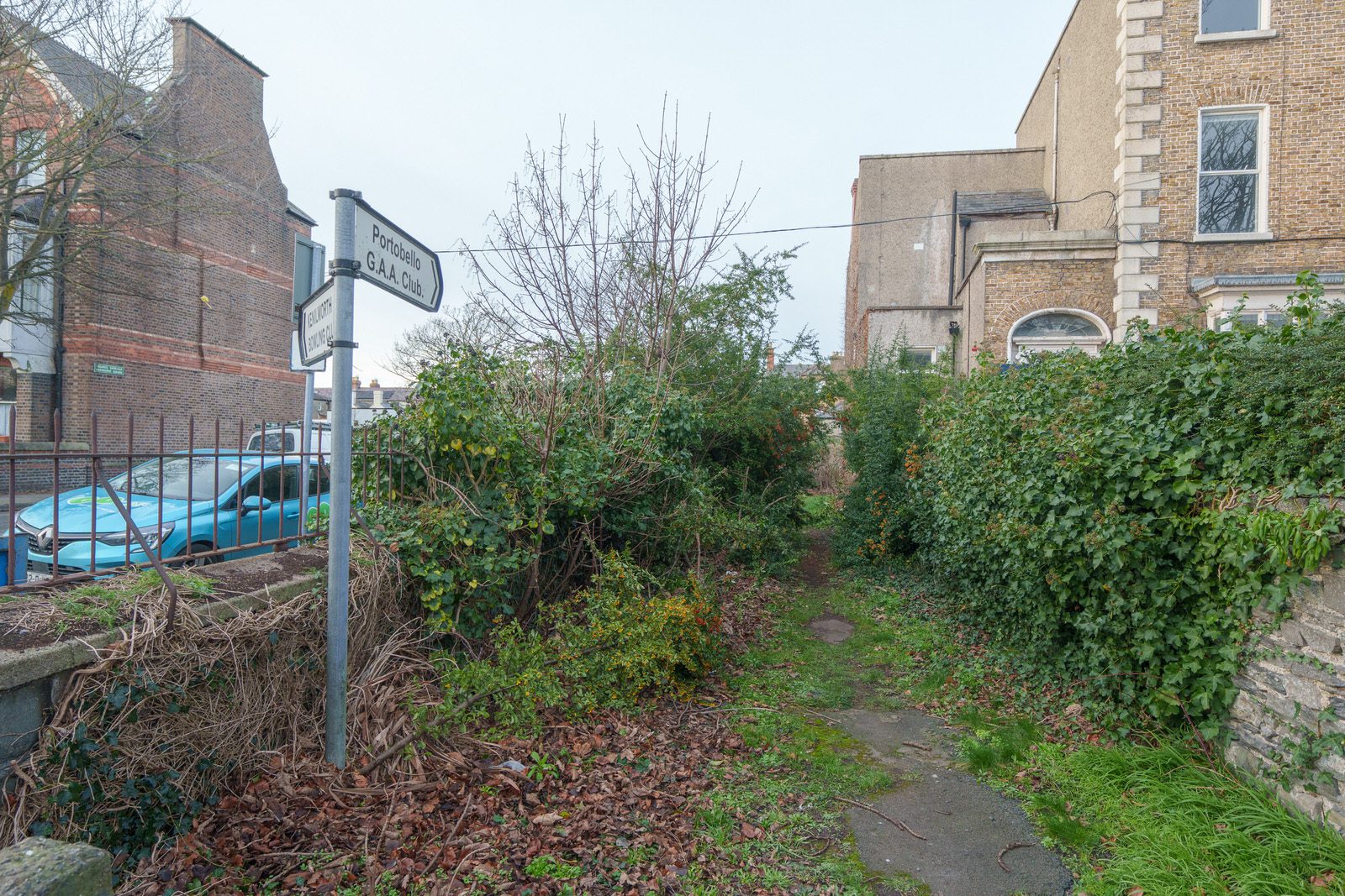 EXPLORING LEINSTER ROAD [THERE WAS EVEN A CHERRY BLOSSOM IN FLOWER]-227263-1