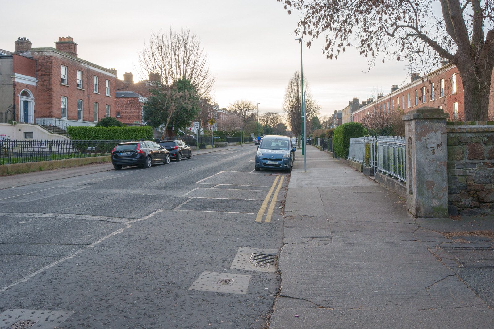 EXPLORING LEINSTER ROAD [THERE WAS EVEN A CHERRY BLOSSOM IN FLOWER]-227265-1