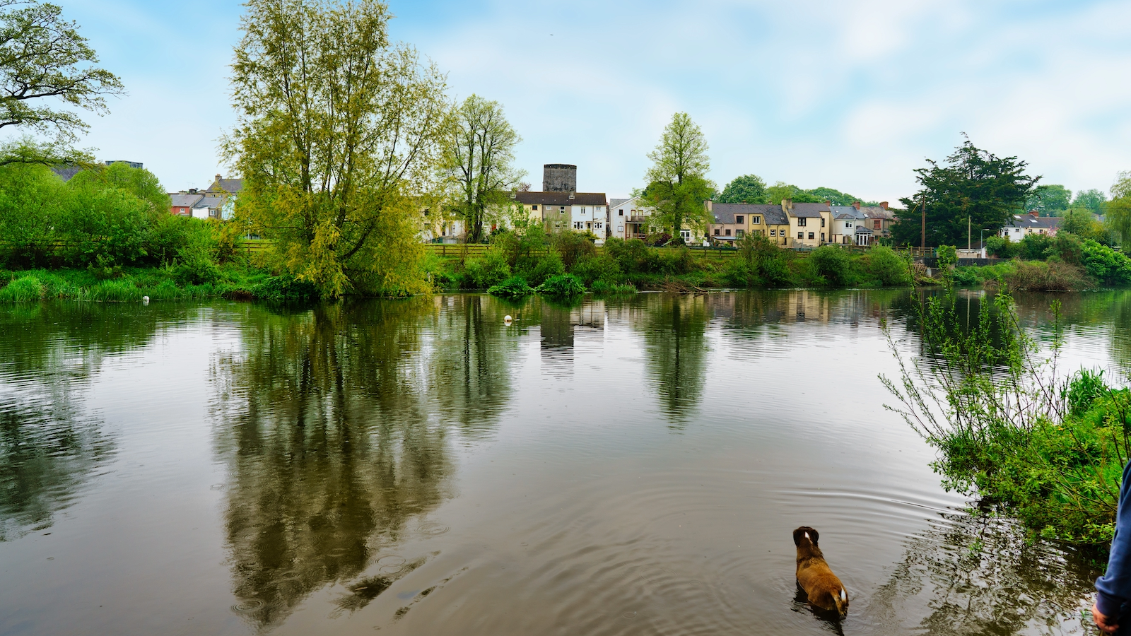 IS THAT MY BALL OR IS IT A BUOY [A CONFUSED DOG IN THE RIVER]-227226-000