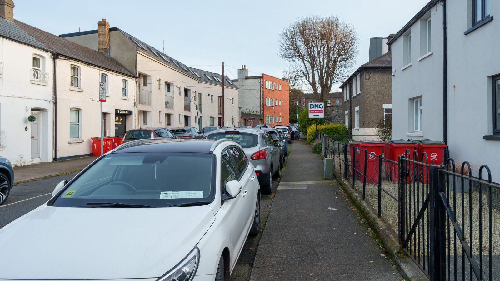 MY FIRST TIME TO EXPLORE CHURCH GARDENS [OFF CASTLEWOOD AVENUE IN RATHMINES]-227335-1