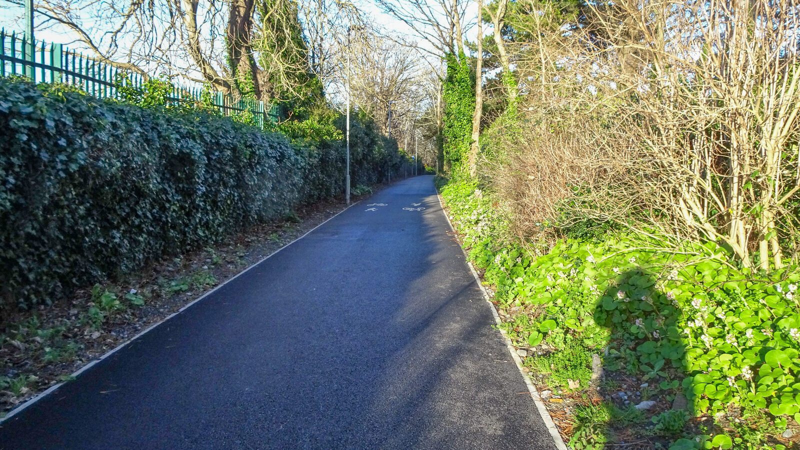 RANDOM IMAGES OF THE UNIVERSITY OF DUBLIN CAMPUS [MY MOTHER WHO IS 104 IN MAY DID NOT WANT TO COME WITH ME AS IT WAS TOO COLD]-226673-1