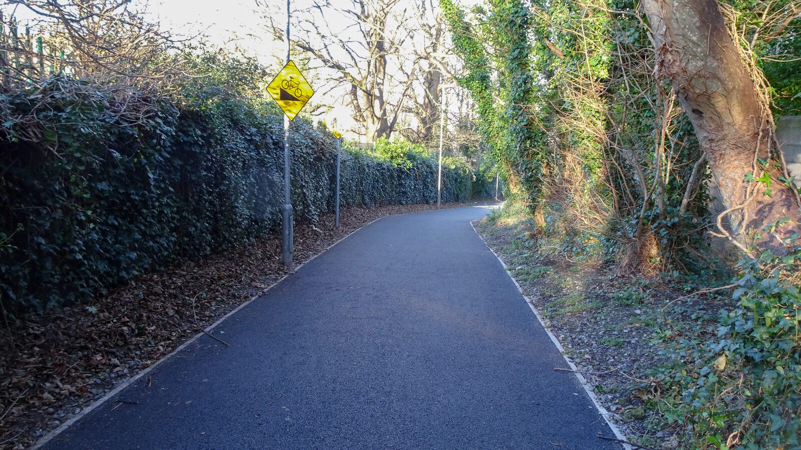 RANDOM IMAGES OF THE UNIVERSITY OF DUBLIN CAMPUS [MY MOTHER WHO IS 104 IN MAY DID NOT WANT TO COME WITH ME AS IT WAS TOO COLD]-226674-1