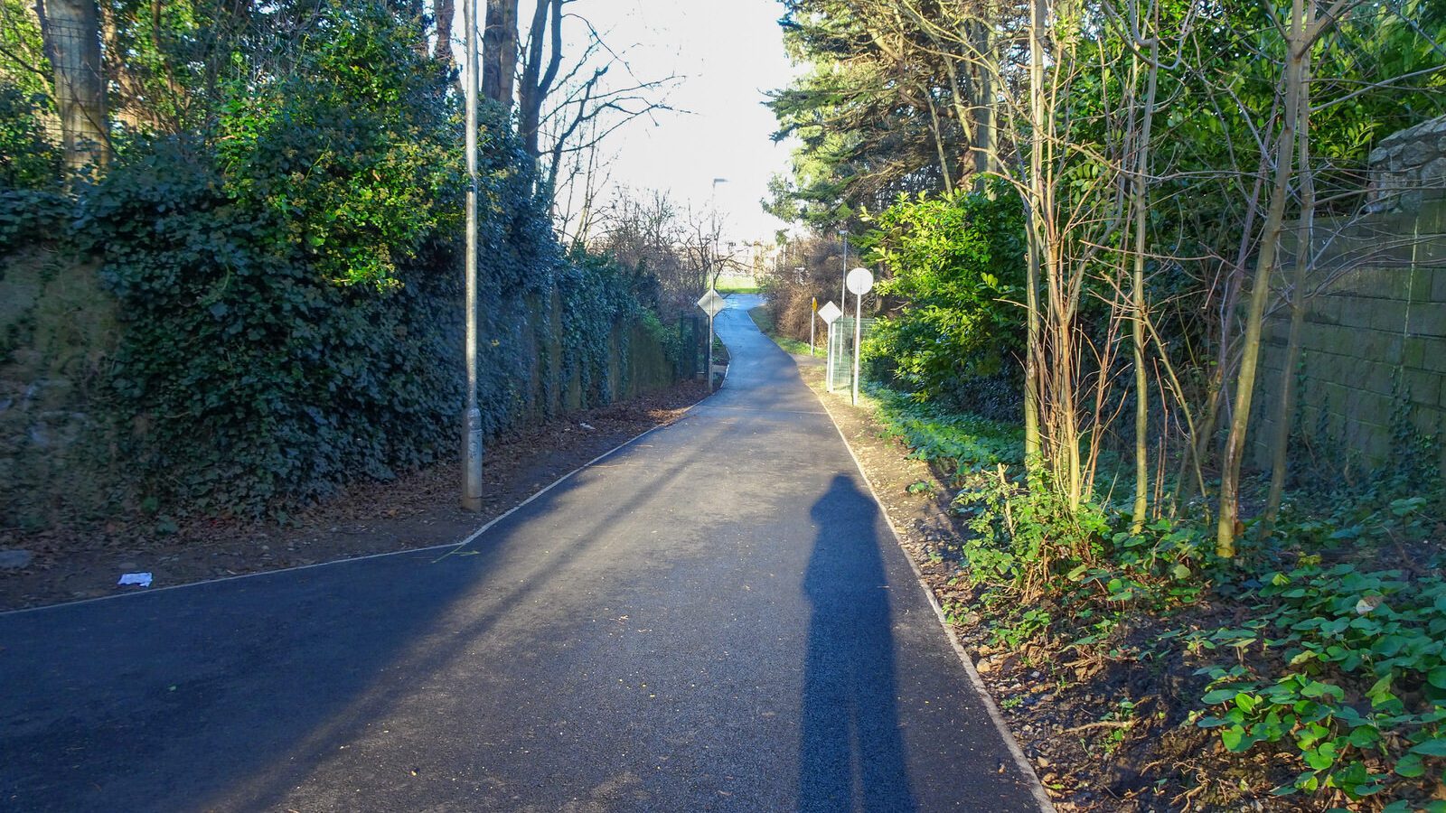 RANDOM IMAGES OF THE UNIVERSITY OF DUBLIN CAMPUS [MY MOTHER WHO IS 104 IN MAY DID NOT WANT TO COME WITH ME AS IT WAS TOO COLD]-226675-1