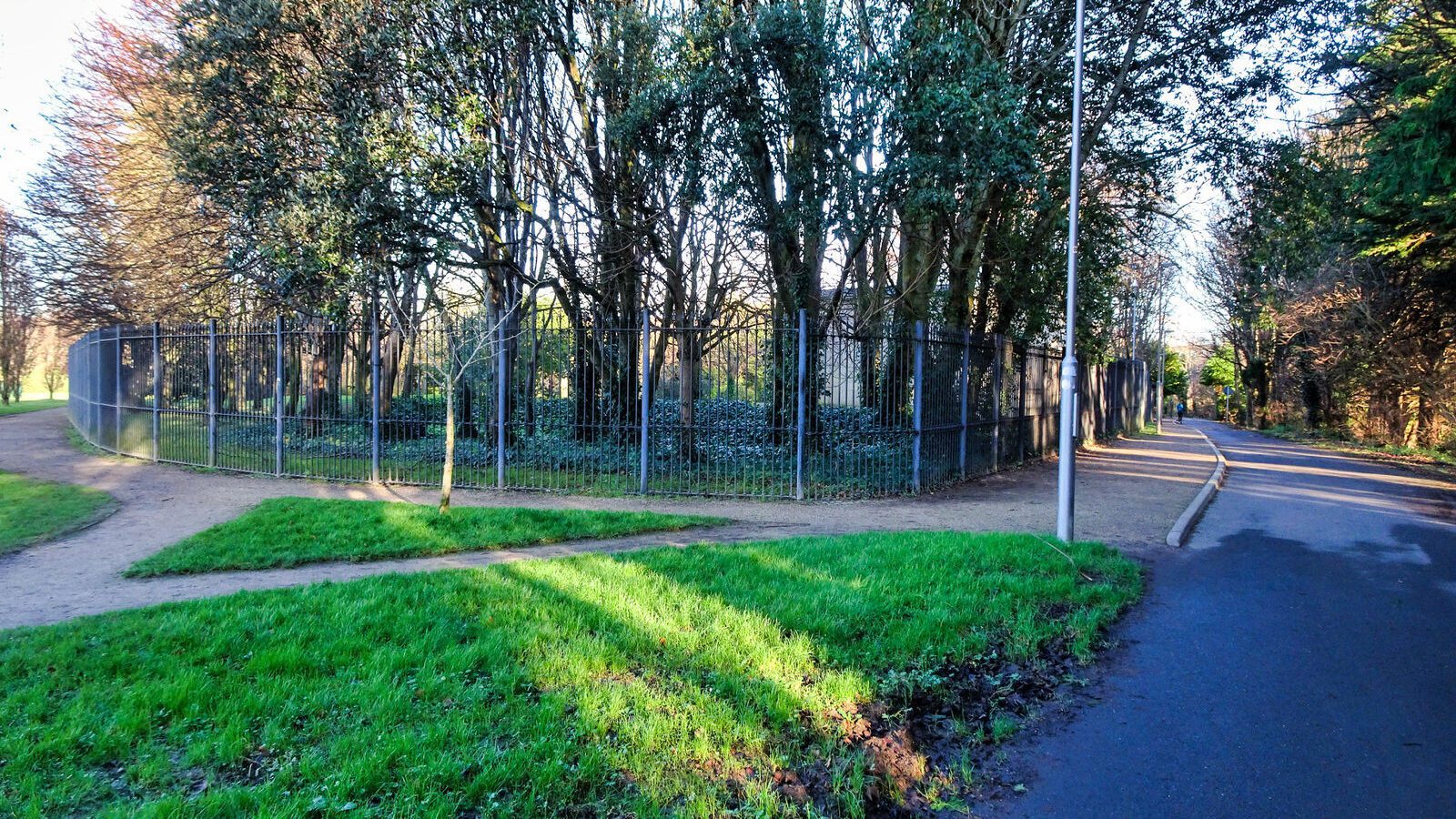 RANDOM IMAGES OF THE UNIVERSITY OF DUBLIN CAMPUS [MY MOTHER WHO IS 104 IN MAY DID NOT WANT TO COME WITH ME AS IT WAS TOO COLD]-226679-1