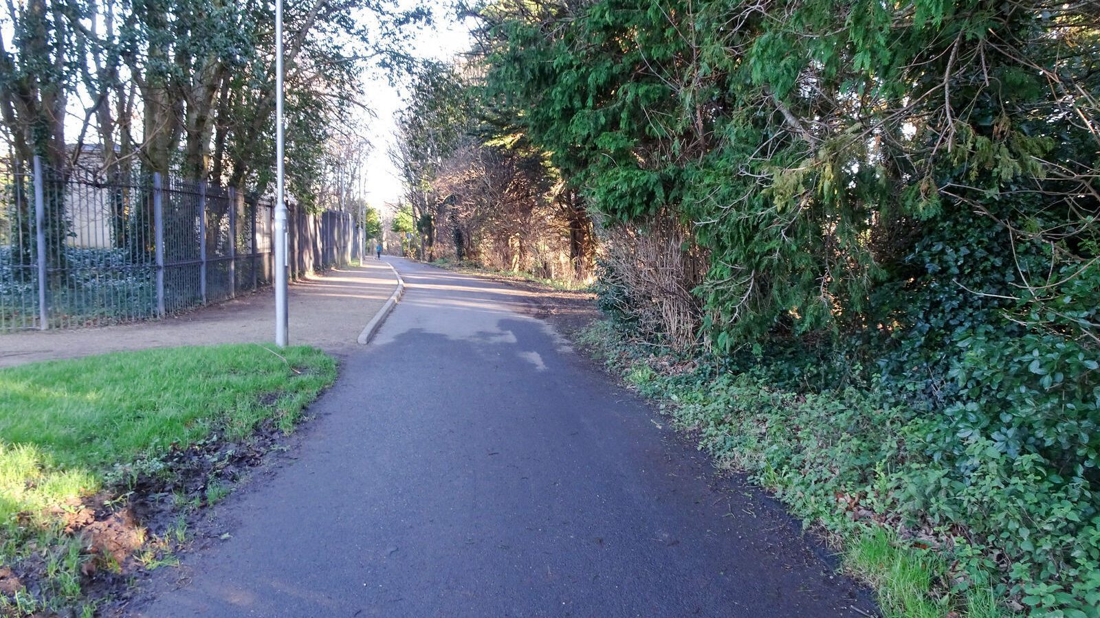 RANDOM IMAGES OF THE UNIVERSITY OF DUBLIN CAMPUS [MY MOTHER WHO IS 104 IN MAY DID NOT WANT TO COME WITH ME AS IT WAS TOO COLD]-226680-1