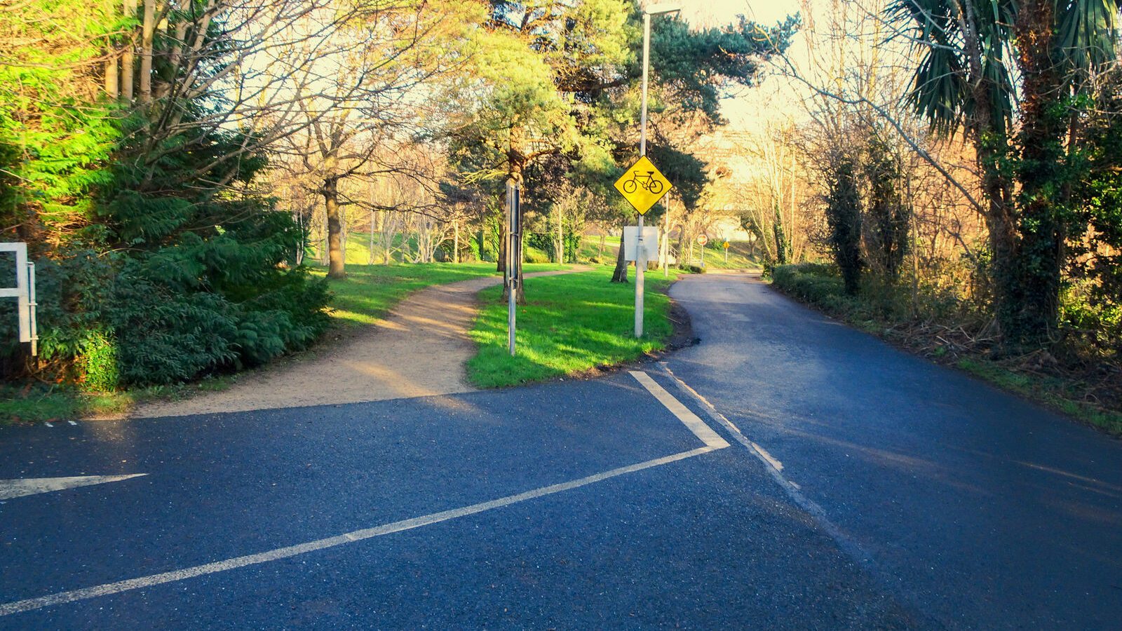 RANDOM IMAGES OF THE UNIVERSITY OF DUBLIN CAMPUS [MY MOTHER WHO IS 104 IN MAY DID NOT WANT TO COME WITH ME AS IT WAS TOO COLD]-226684-1