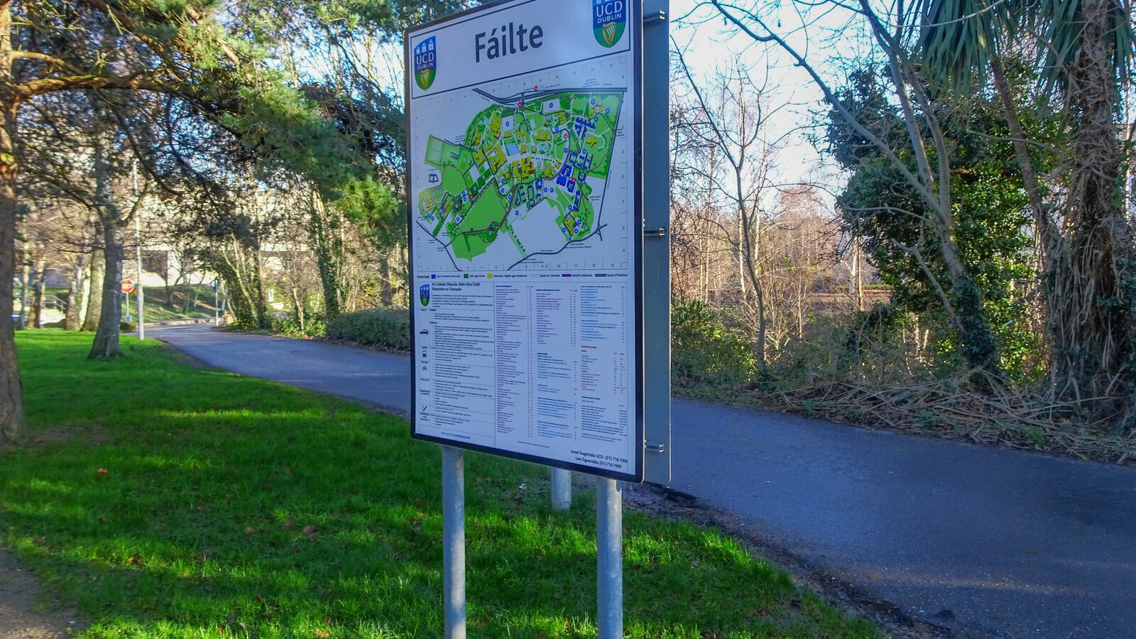 RANDOM IMAGES OF THE UNIVERSITY OF DUBLIN CAMPUS [MY MOTHER WHO IS 104 IN MAY DID NOT WANT TO COME WITH ME AS IT WAS TOO COLD]-226685-1