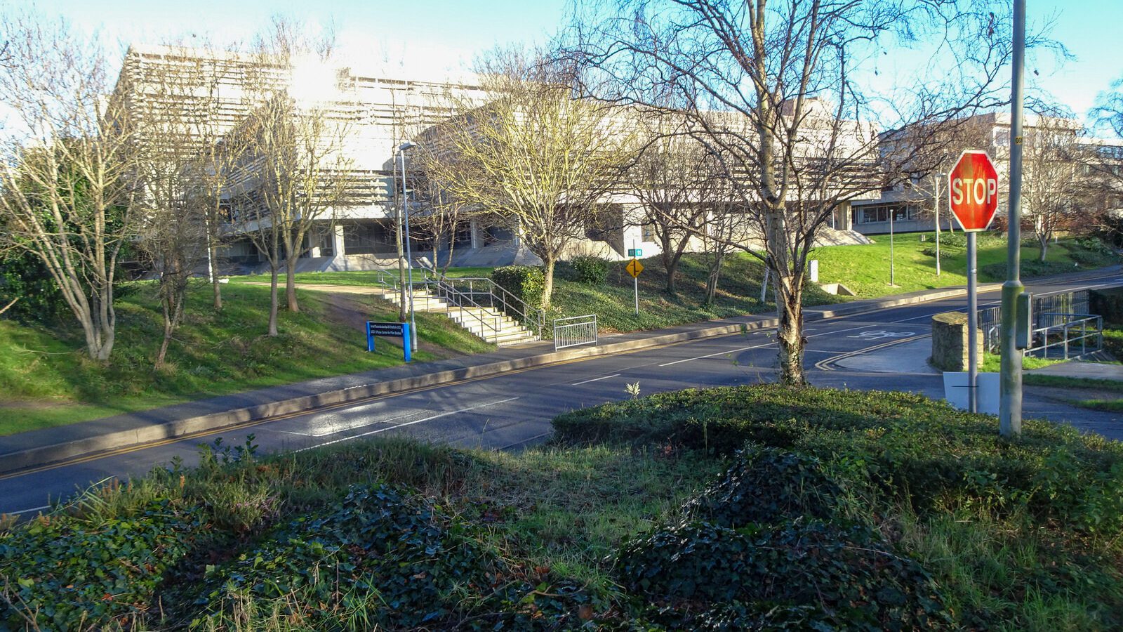 RANDOM IMAGES OF THE UNIVERSITY OF DUBLIN CAMPUS [MY MOTHER WHO IS 104 IN MAY DID NOT WANT TO COME WITH ME AS IT WAS TOO COLD]-226686-1