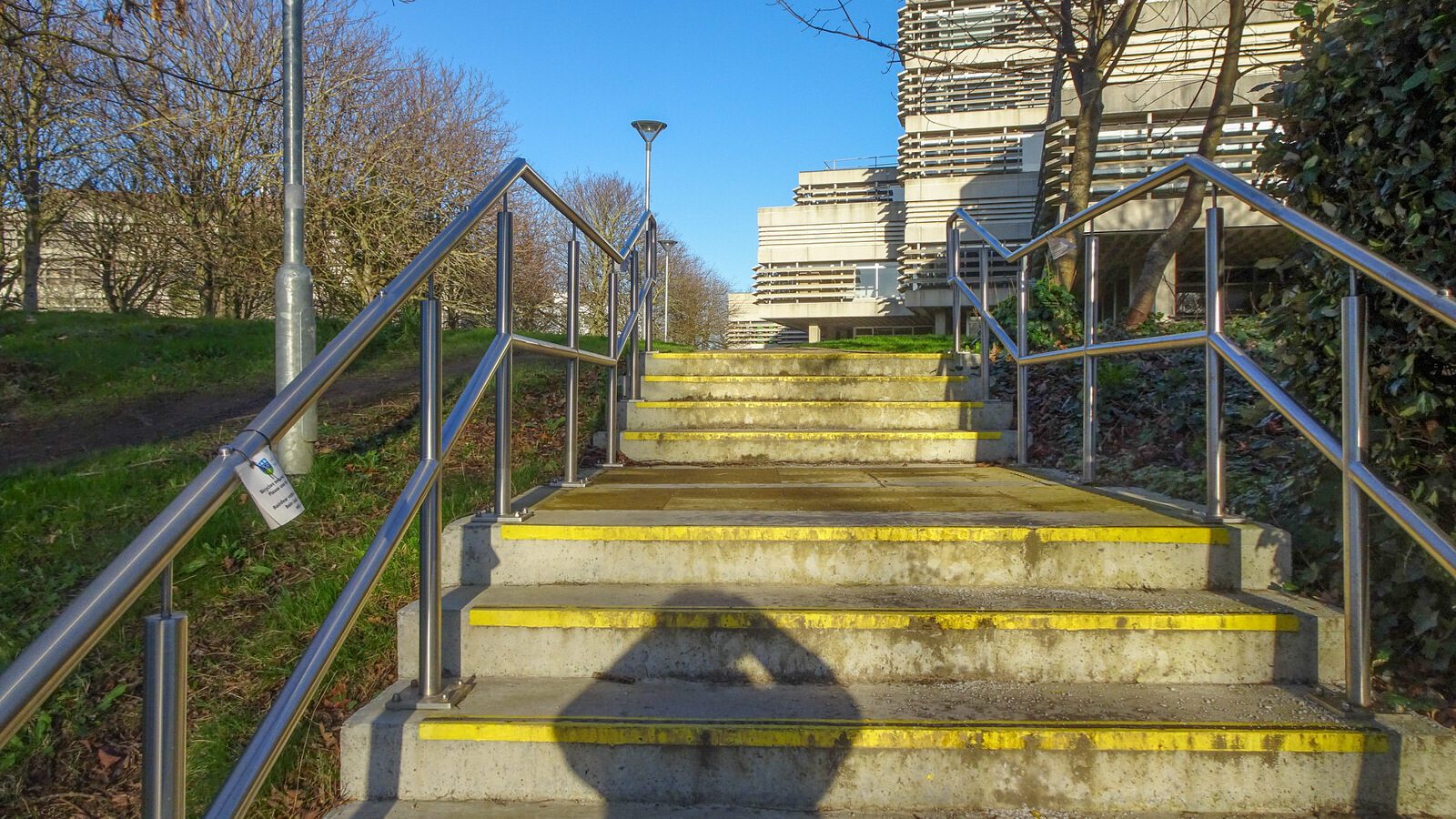 RANDOM IMAGES OF THE UNIVERSITY OF DUBLIN CAMPUS [MY MOTHER WHO IS 104 IN MAY DID NOT WANT TO COME WITH ME AS IT WAS TOO COLD]-226687-1