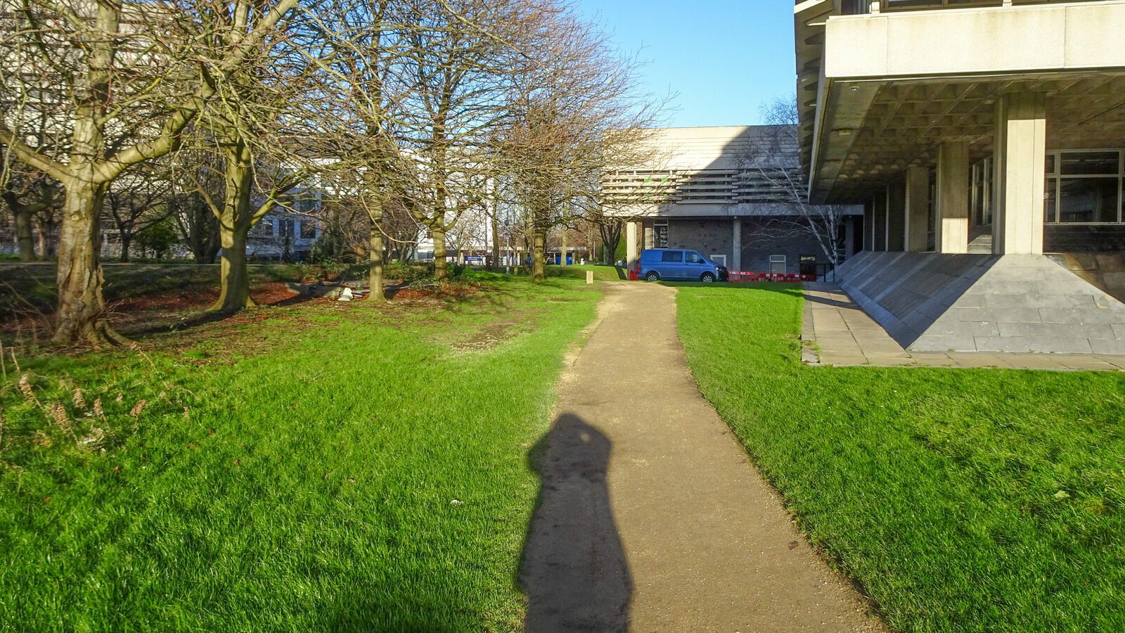 RANDOM IMAGES OF THE UNIVERSITY OF DUBLIN CAMPUS [MY MOTHER WHO IS 104 IN MAY DID NOT WANT TO COME WITH ME AS IT WAS TOO COLD]-226690-1