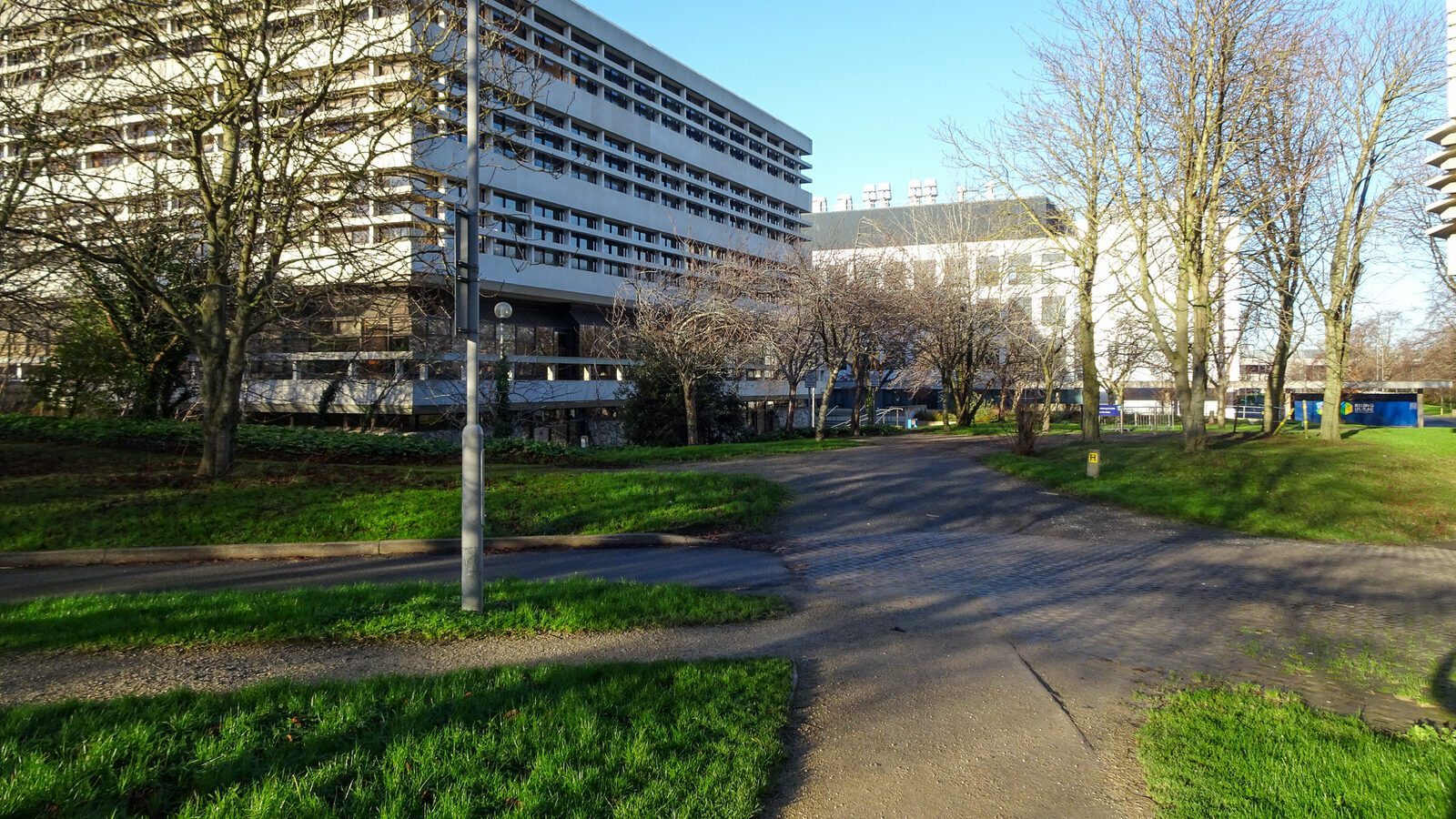 RANDOM IMAGES OF THE UNIVERSITY OF DUBLIN CAMPUS [MY MOTHER WHO IS 104 IN MAY DID NOT WANT TO COME WITH ME AS IT WAS TOO COLD]-226691-1