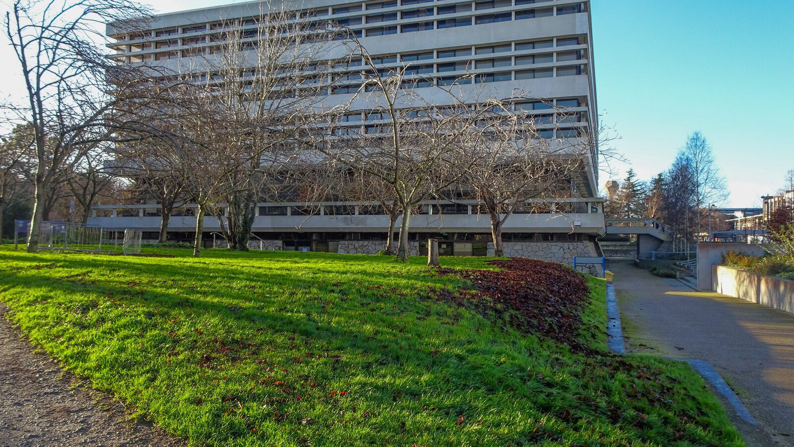 RANDOM IMAGES OF THE UNIVERSITY OF DUBLIN CAMPUS [MY MOTHER WHO IS 104 IN MAY DID NOT WANT TO COME WITH ME AS IT WAS TOO COLD]-226694-1