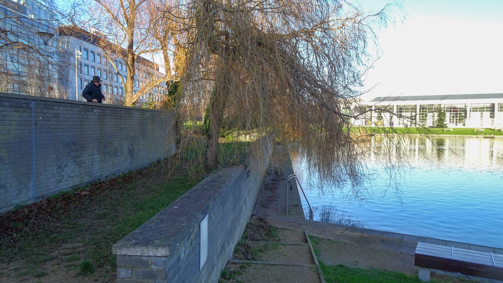 RANDOM IMAGES OF THE UNIVERSITY OF DUBLIN CAMPUS [MY MOTHER WHO IS 104 IN MAY DID NOT WANT TO COME WITH ME AS IT WAS TOO COLD]-226699-1