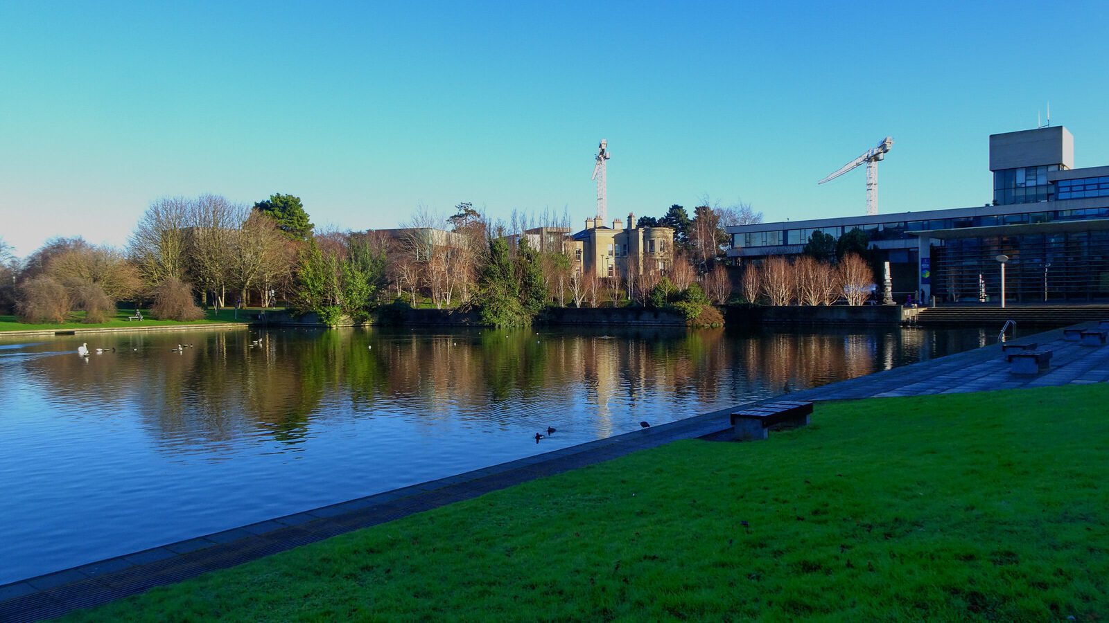 RANDOM IMAGES OF THE UNIVERSITY OF DUBLIN CAMPUS [MY MOTHER WHO IS 104 IN MAY DID NOT WANT TO COME WITH ME AS IT WAS TOO COLD]-226700-1