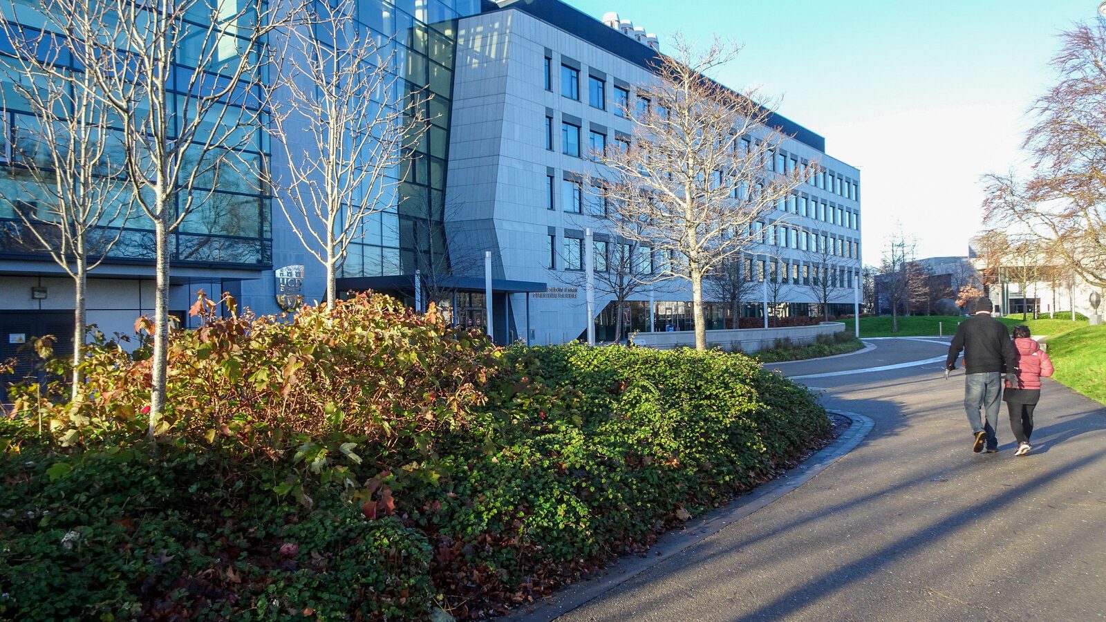 RANDOM IMAGES OF THE UNIVERSITY OF DUBLIN CAMPUS [MY MOTHER WHO IS 104 IN MAY DID NOT WANT TO COME WITH ME AS IT WAS TOO COLD]-226702-1