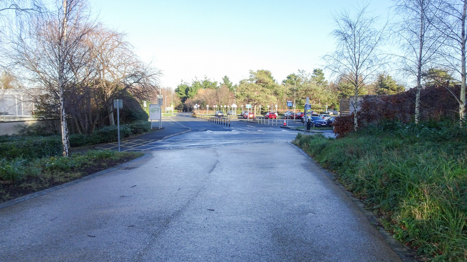 RANDOM IMAGES OF THE UNIVERSITY OF DUBLIN CAMPUS [MY MOTHER WHO IS 104 IN MAY DID NOT WANT TO COME WITH ME AS IT WAS TOO COLD]-226709-1