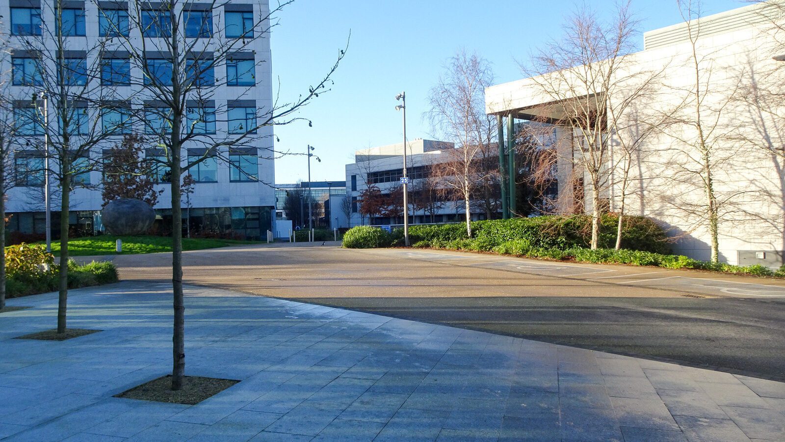 RANDOM IMAGES OF THE UNIVERSITY OF DUBLIN CAMPUS [MY MOTHER WHO IS 104 IN MAY DID NOT WANT TO COME WITH ME AS IT WAS TOO COLD]-226712-1