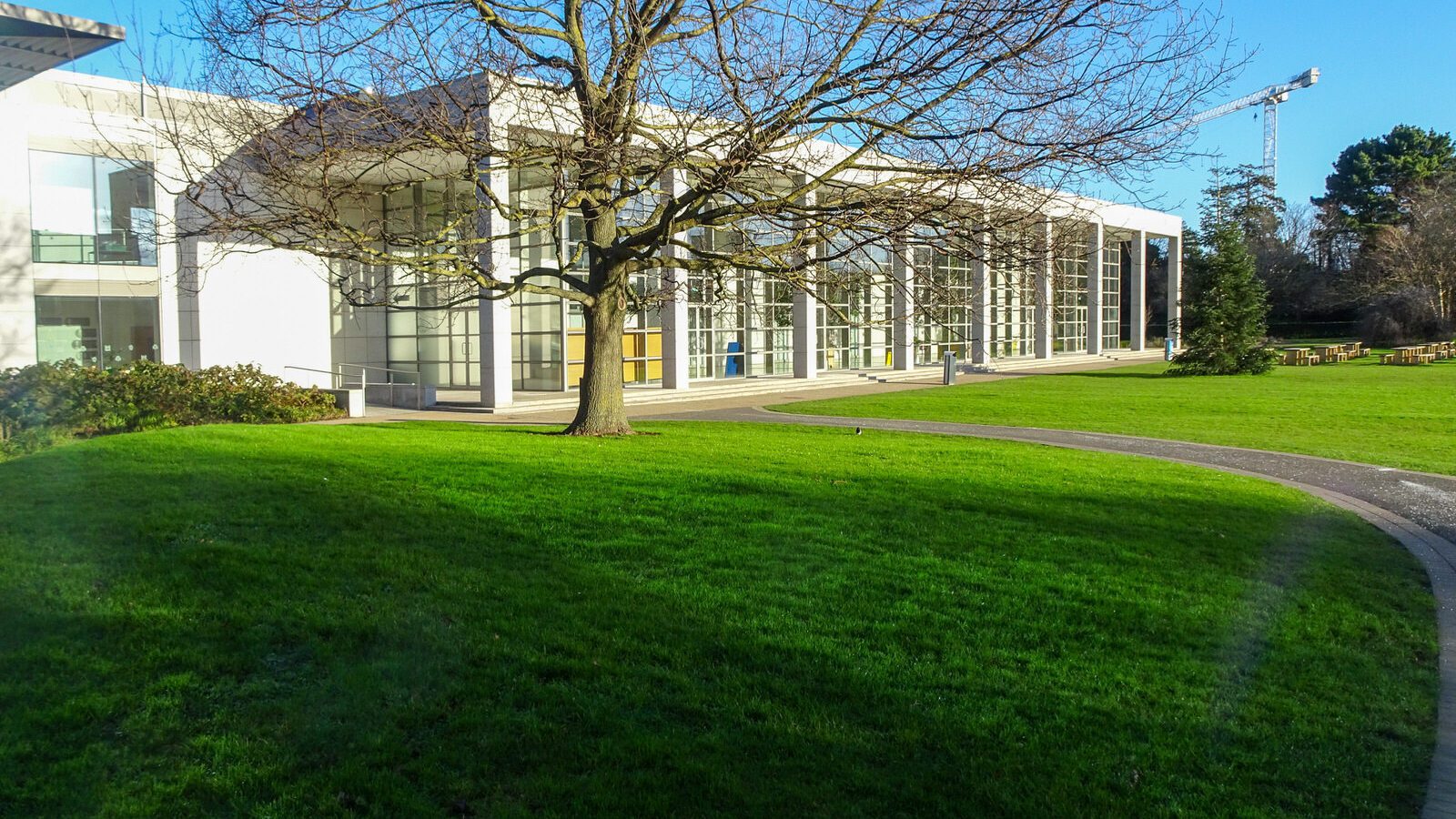 RANDOM IMAGES OF THE UNIVERSITY OF DUBLIN CAMPUS [MY MOTHER WHO IS 104 IN MAY DID NOT WANT TO COME WITH ME AS IT WAS TOO COLD]-226714-1