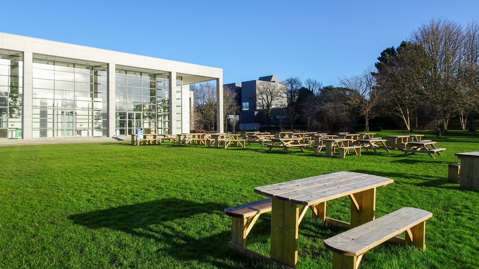 RANDOM IMAGES OF THE UNIVERSITY OF DUBLIN CAMPUS [MY MOTHER WHO IS 104 IN MAY DID NOT WANT TO COME WITH ME AS IT WAS TOO COLD]-226716-1