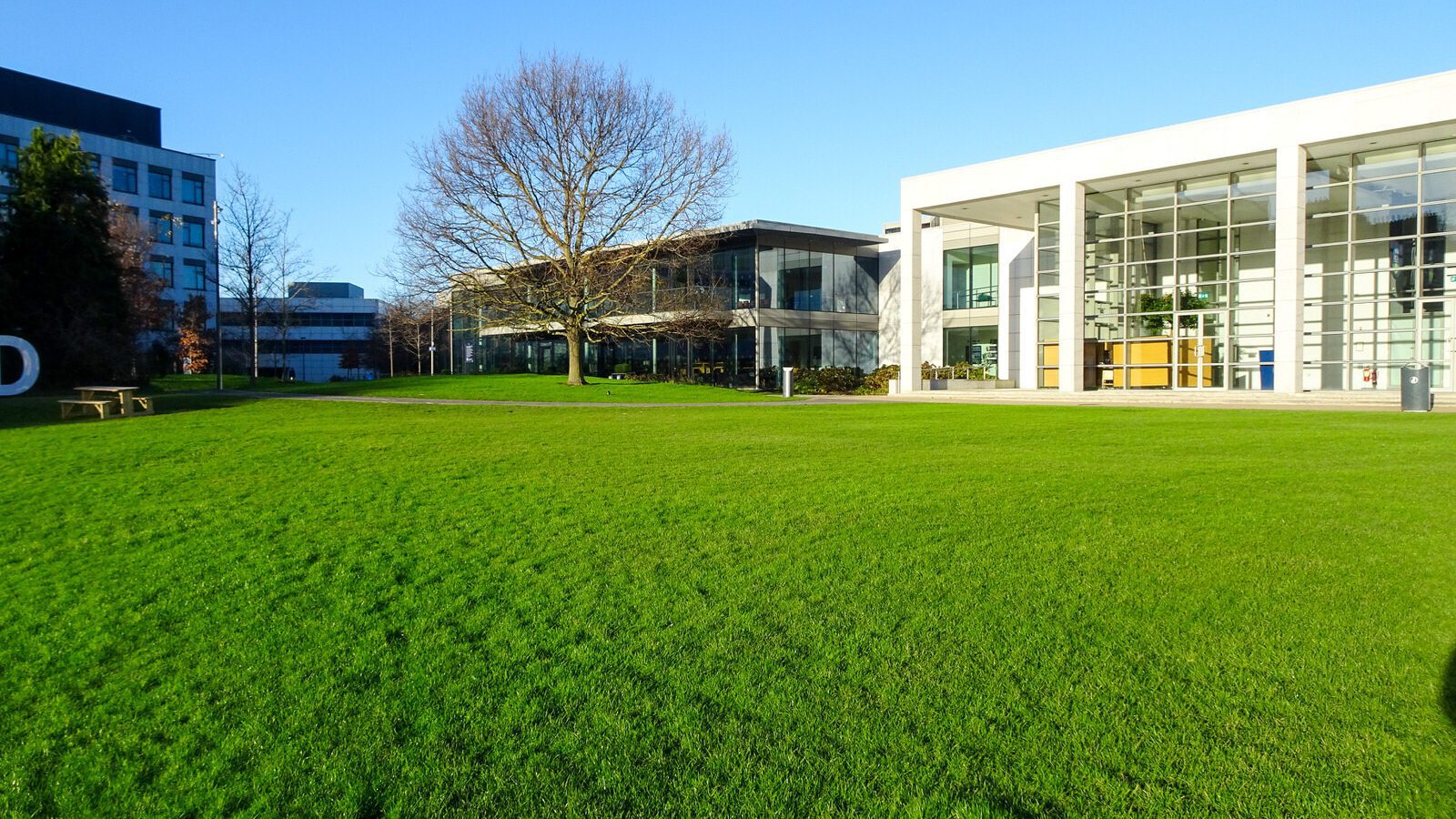 RANDOM IMAGES OF THE UNIVERSITY OF DUBLIN CAMPUS [MY MOTHER WHO IS 104 IN MAY DID NOT WANT TO COME WITH ME AS IT WAS TOO COLD]-226718-1