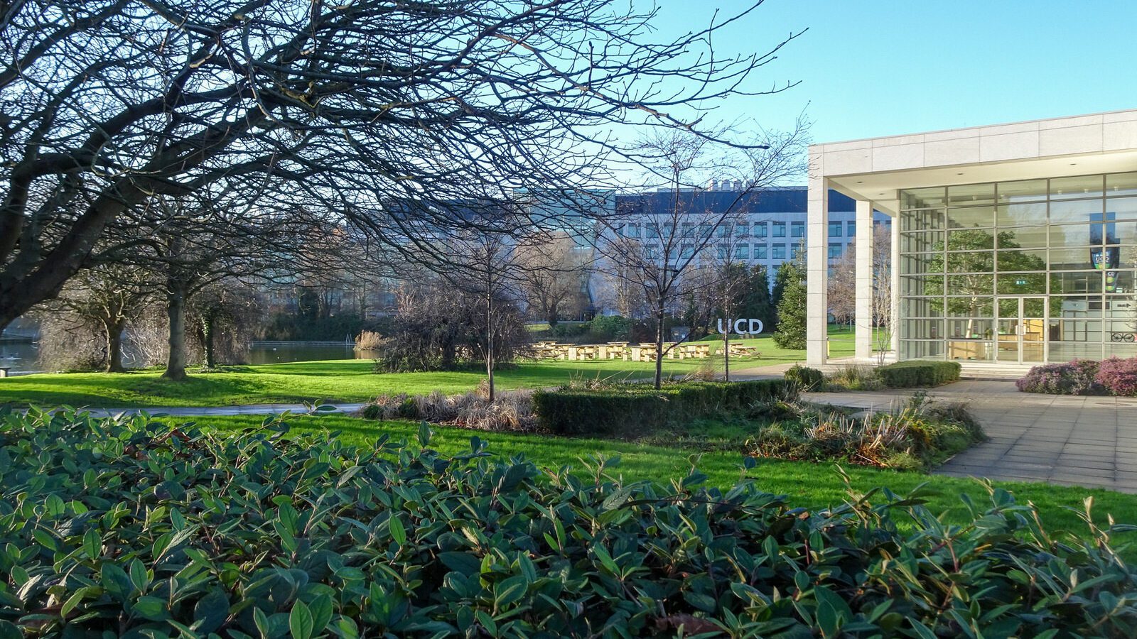 RANDOM IMAGES OF THE UNIVERSITY OF DUBLIN CAMPUS [MY MOTHER WHO IS 104 IN MAY DID NOT WANT TO COME WITH ME AS IT WAS TOO COLD]-226728-1