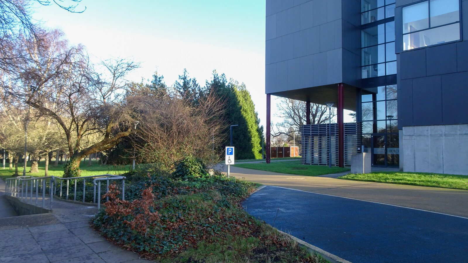 RANDOM IMAGES OF THE UNIVERSITY OF DUBLIN CAMPUS [MY MOTHER WHO IS 104 IN MAY DID NOT WANT TO COME WITH ME AS IT WAS TOO COLD]-226731-1