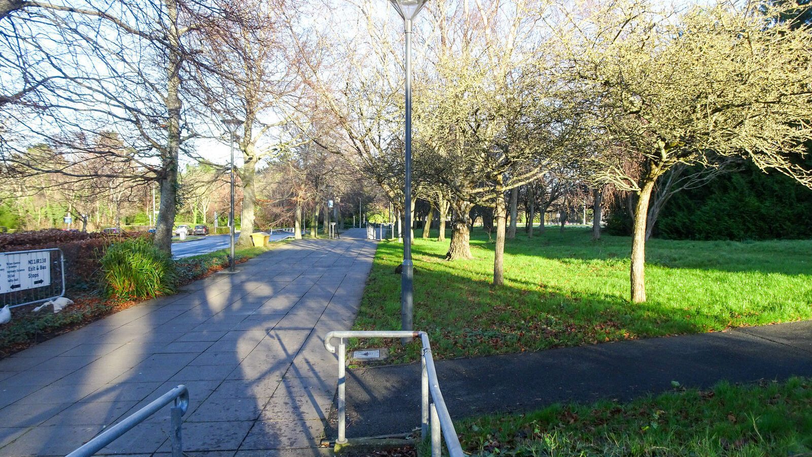 RANDOM IMAGES OF THE UNIVERSITY OF DUBLIN CAMPUS [MY MOTHER WHO IS 104 IN MAY DID NOT WANT TO COME WITH ME AS IT WAS TOO COLD]-226732-1