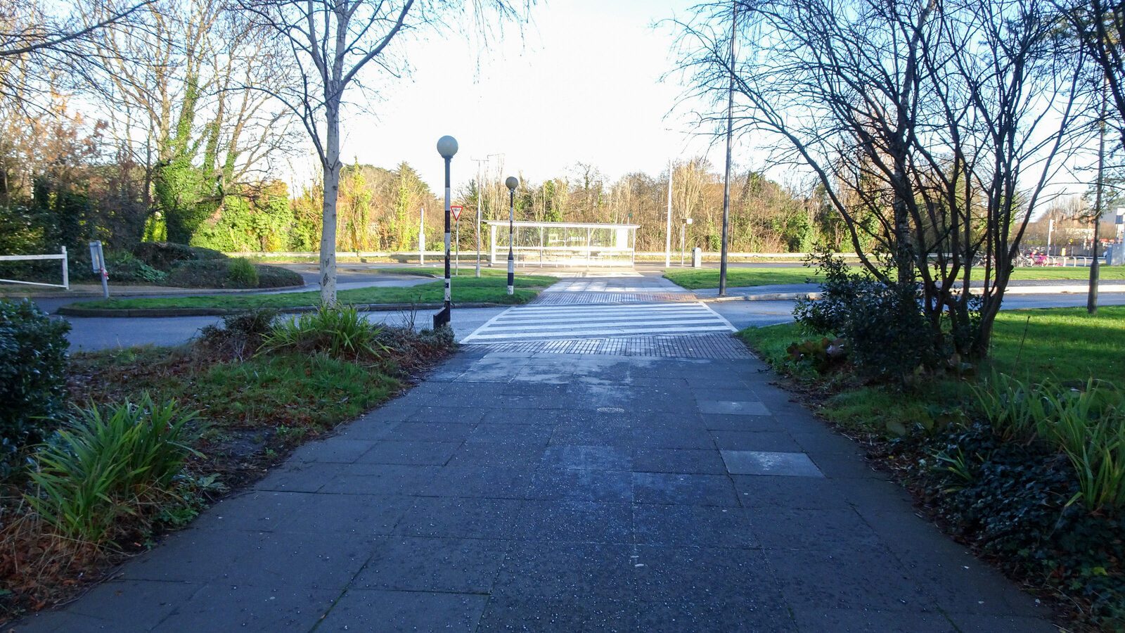 RANDOM IMAGES OF THE UNIVERSITY OF DUBLIN CAMPUS [MY MOTHER WHO IS 104 IN MAY DID NOT WANT TO COME WITH ME AS IT WAS TOO COLD]-226733-1