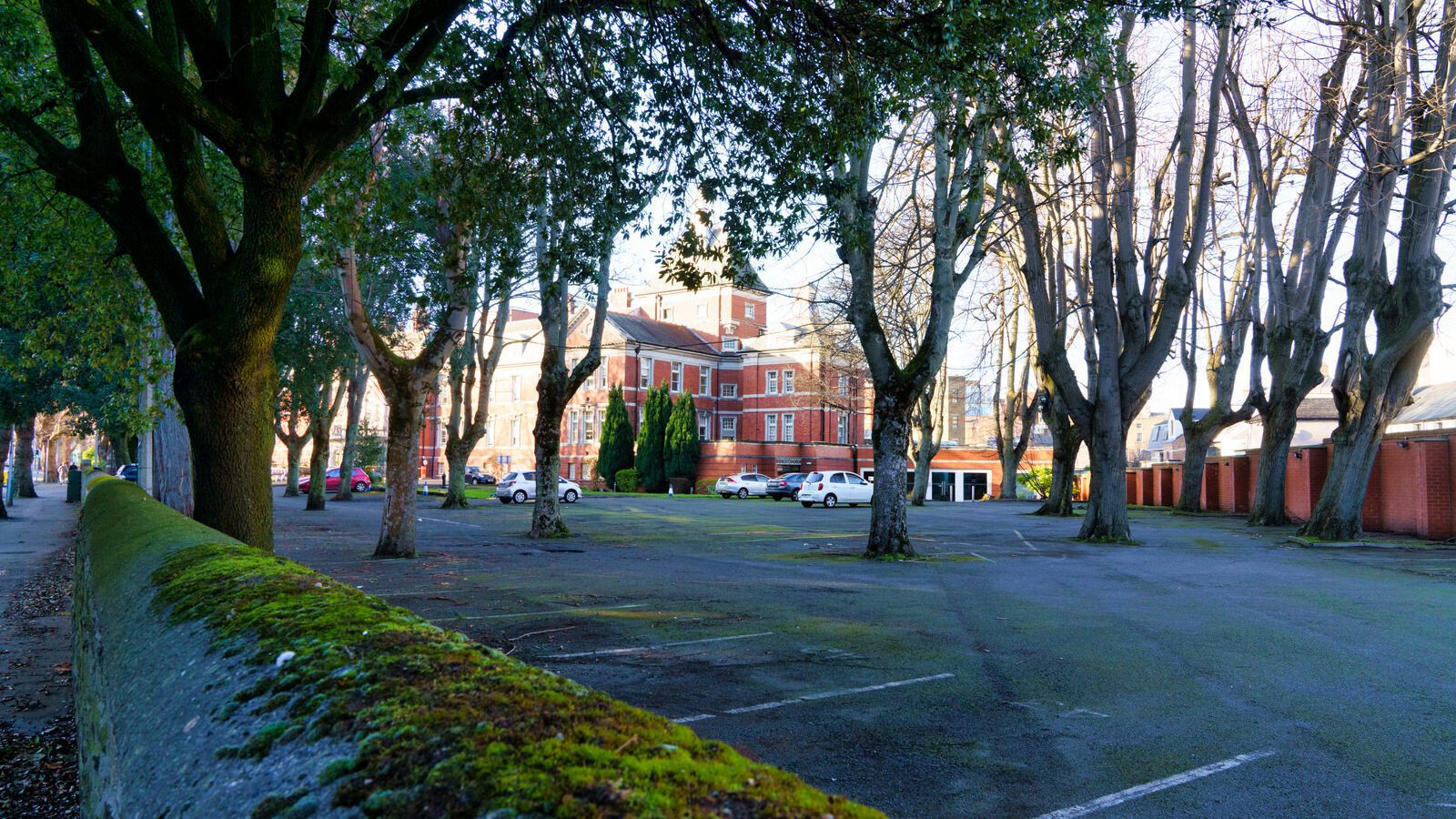 ROYAL VICTORIA EYE AND EAR HOSPITAL [ADELAIDE ROAD DUBLIN]-228012-1