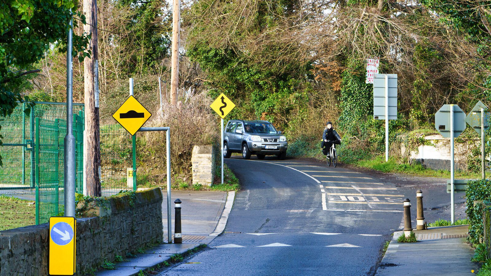 THIS WAS MY FIRST TIME TO VISIT DUNSINEA LANE [ASHTOWN AREA OF DUBLIN]-228903-1