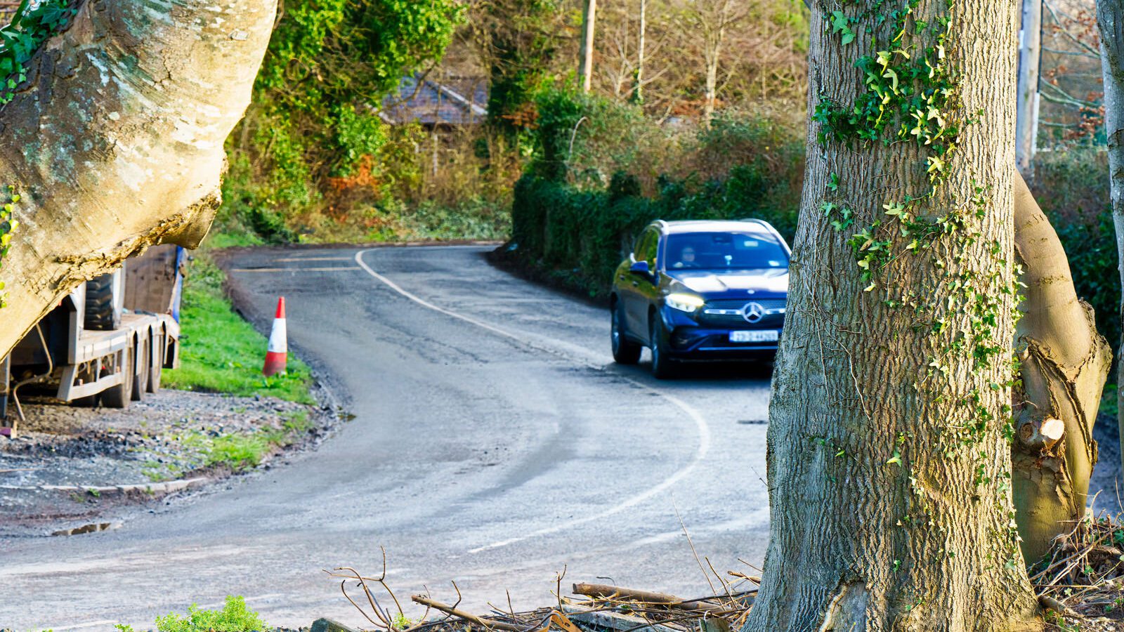 THIS WAS MY FIRST TIME TO VISIT DUNSINEA LANE [ASHTOWN AREA OF DUBLIN]-228908-1