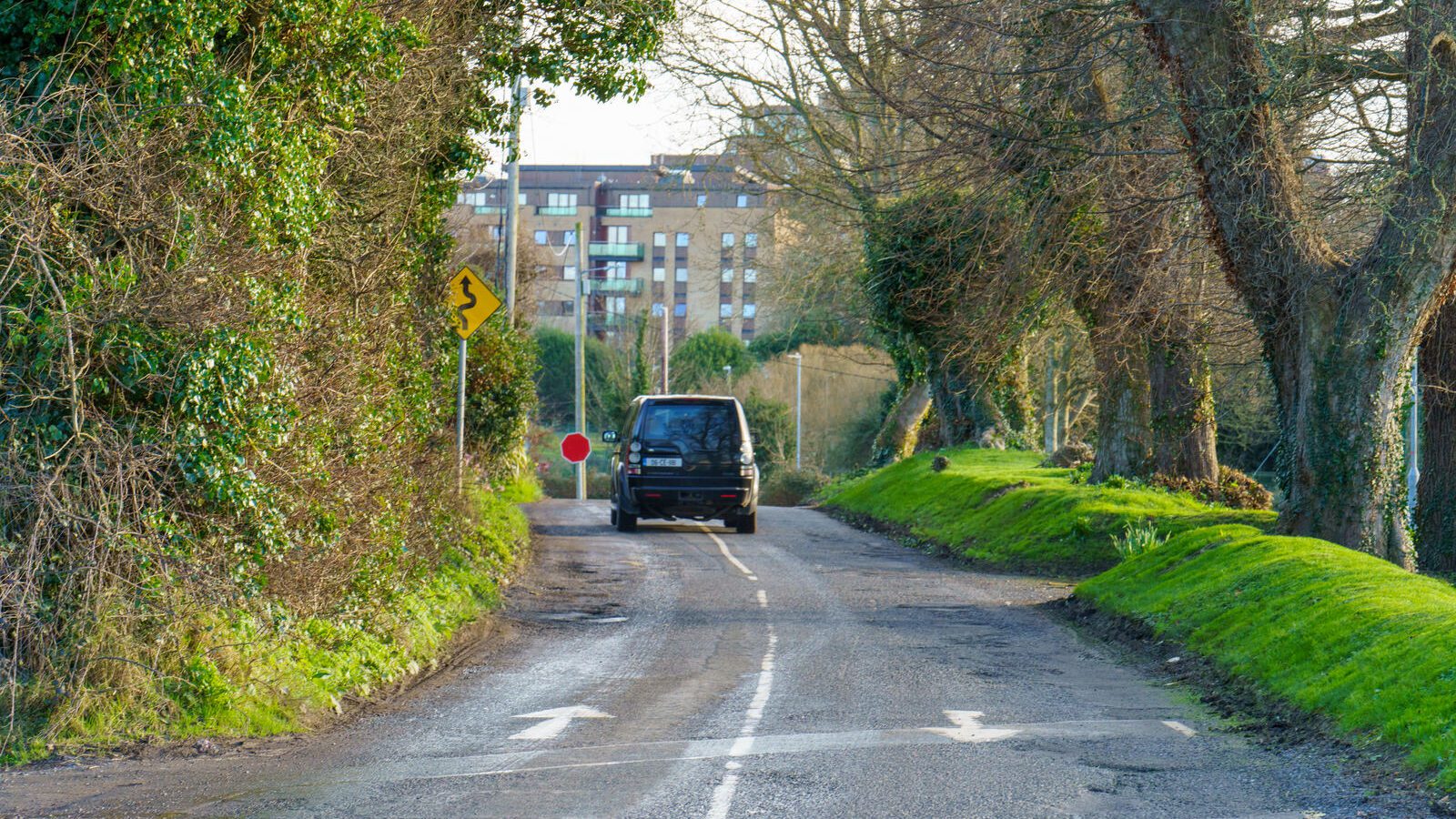 THIS WAS MY FIRST TIME TO VISIT DUNSINEA LANE [ASHTOWN AREA OF DUBLIN]-228911-1