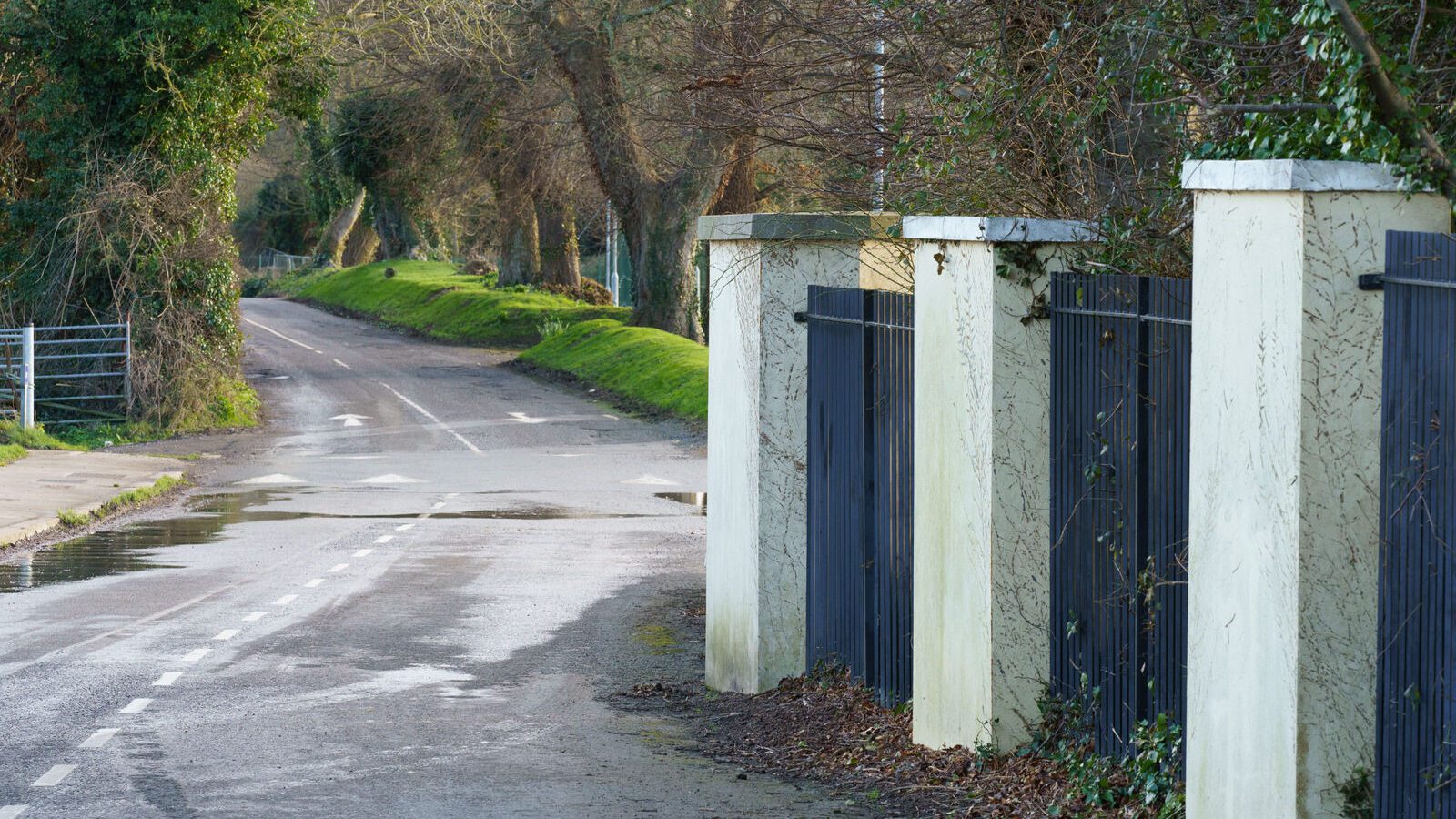 THIS WAS MY FIRST TIME TO VISIT DUNSINEA LANE [ASHTOWN AREA OF DUBLIN]-228915-1