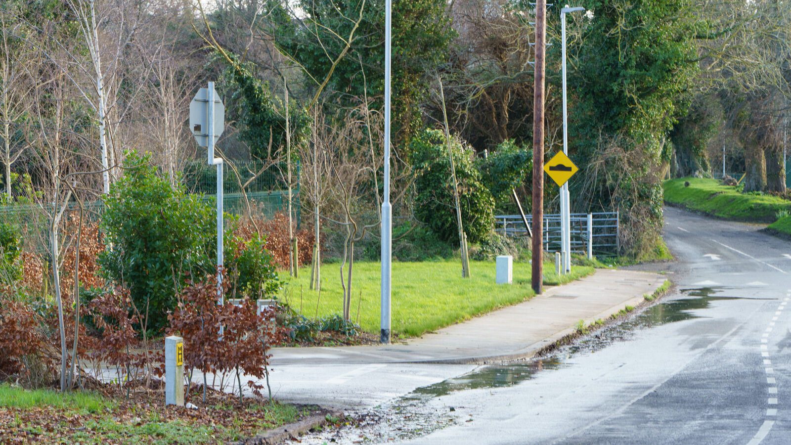 THIS WAS MY FIRST TIME TO VISIT DUNSINEA LANE [ASHTOWN AREA OF DUBLIN]-228916-1